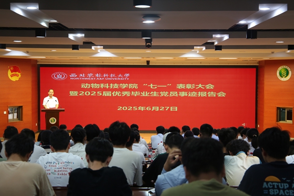 会议现场.JPG