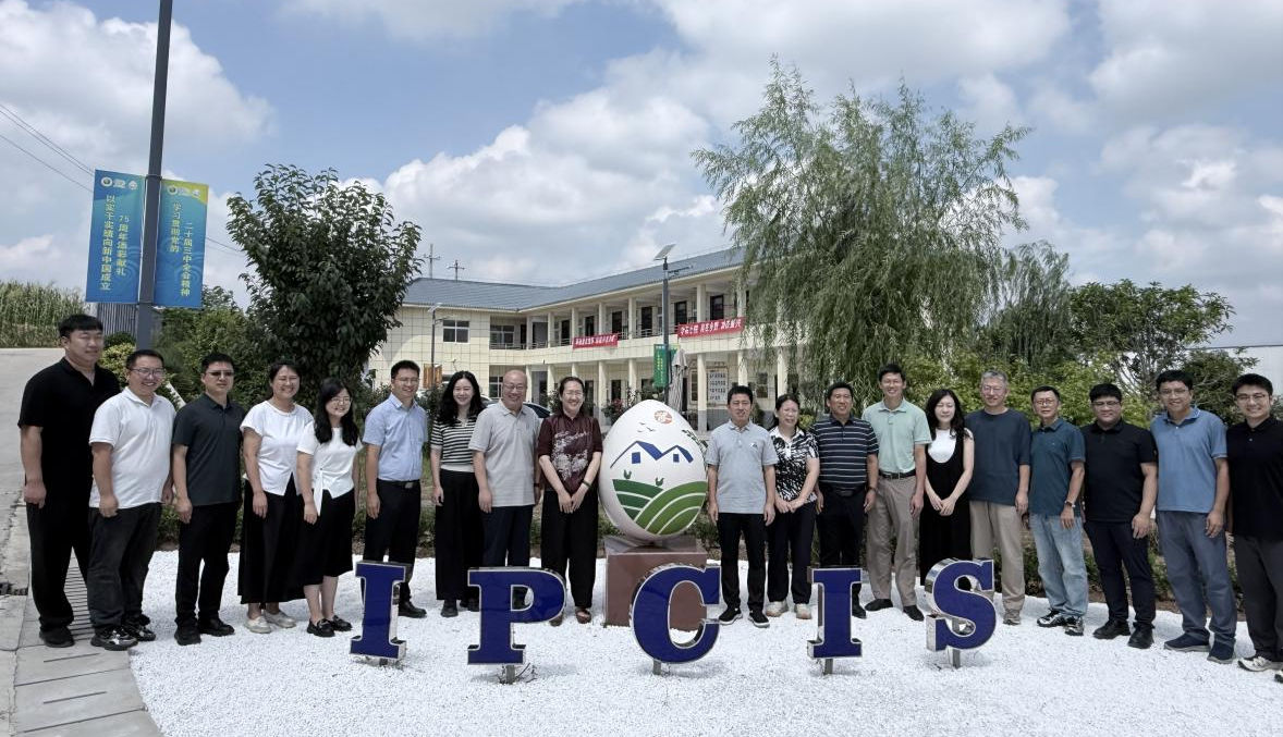 图片6.png