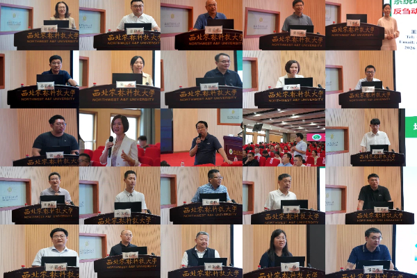 1图片3.jpg