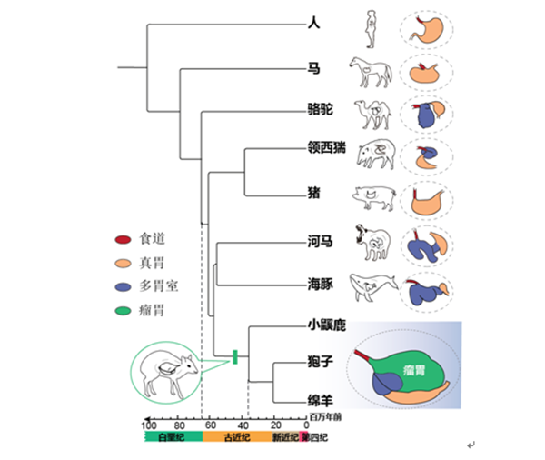 8837ae49284140a5beac9113c4d89553.png 1_副本.png