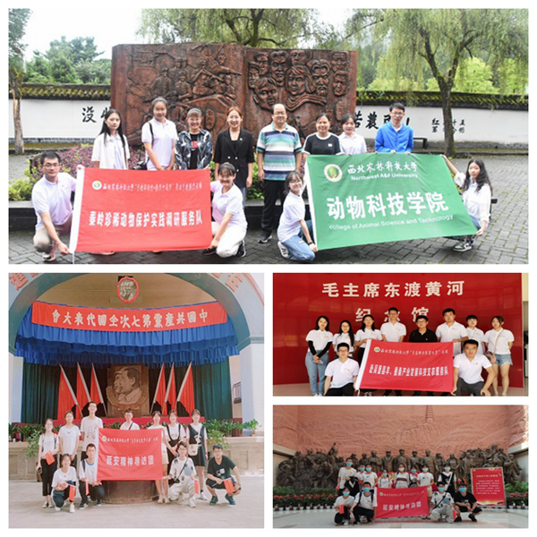 0a0d99fe3f084fd79feeab2e346b55fe.png 图片5.png