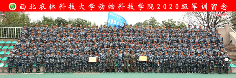 211630967a8d44e3b30e7319c2490144.jpg 74da4516b9c249d3990a4a8d4f450b47.jpg