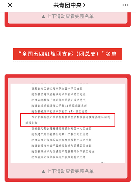 581cb81c0717412981fb100603dce40b.png 71d6eec1614c4cfdbd434768b152c23f (1).png