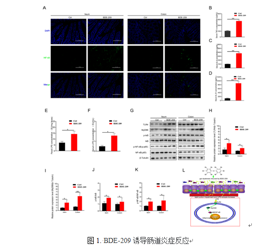 d4c906fada514eaa9853a79fafe60f90.png QQ图片20210302144322.png