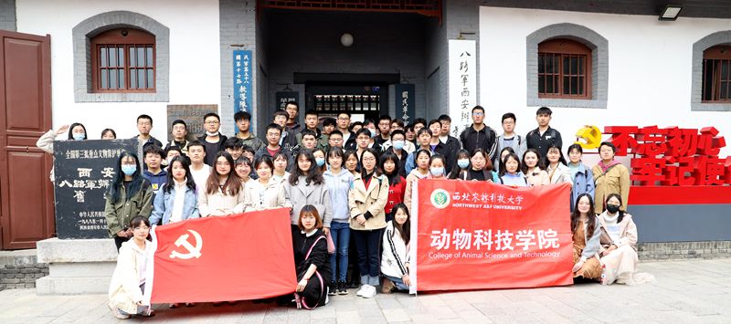 c04f5bc2623e4647b06c8229bc7ff134.jpg 4f67037a4c9244f8a72635229a86baaf.jpg