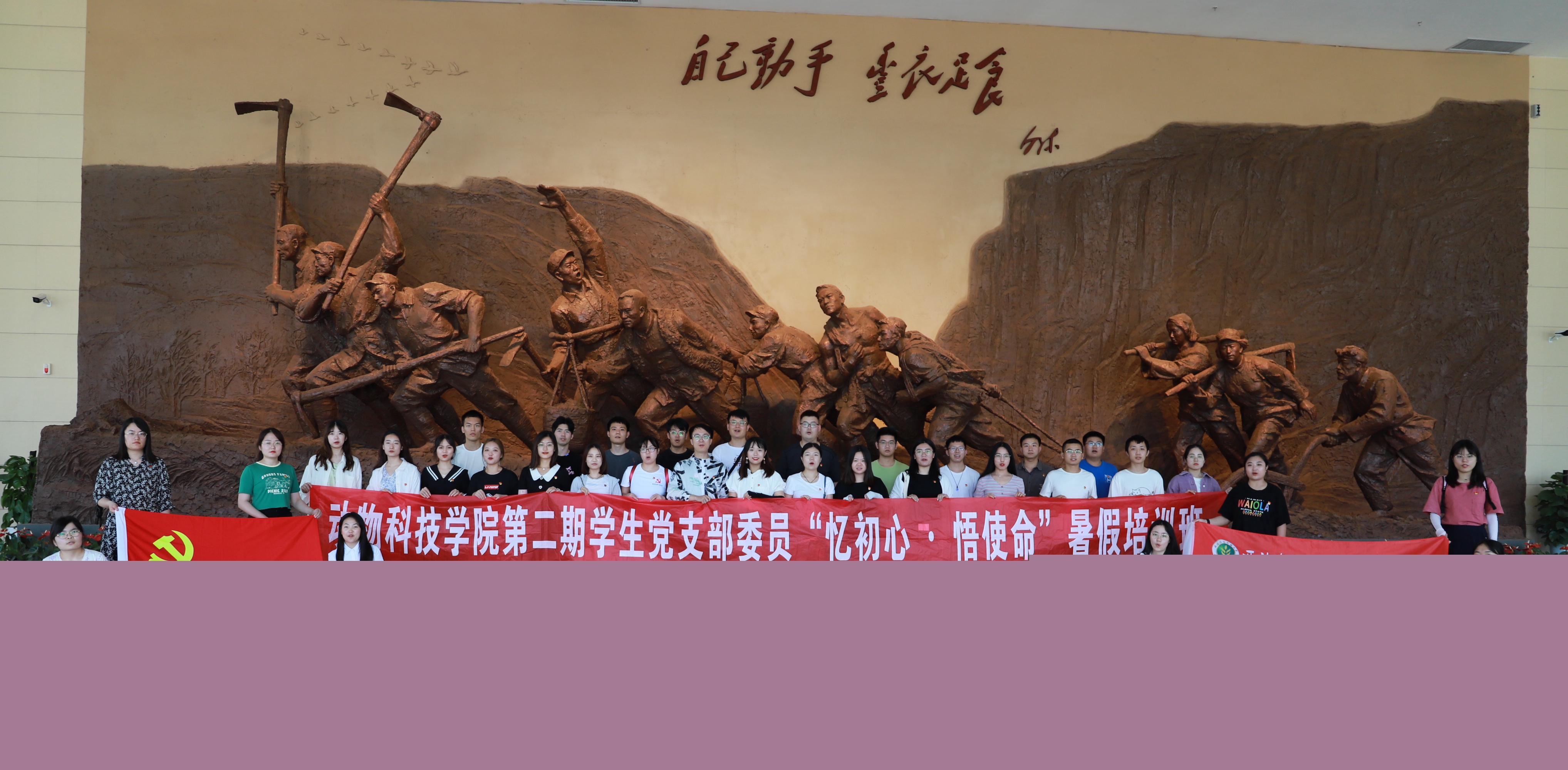 ad8cffae65804178a9c0ef1a66f215af.jpg