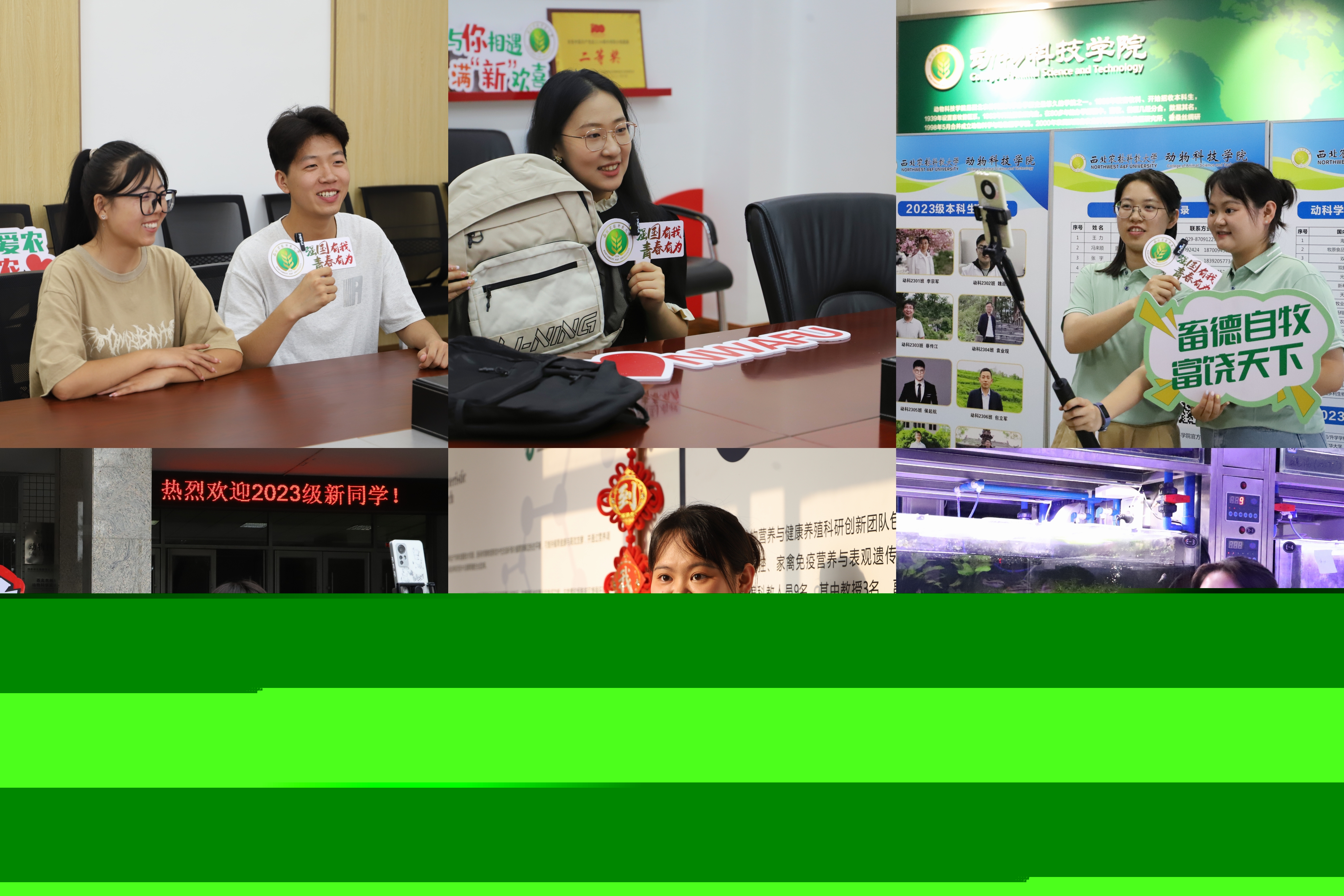 be9553ecf8564b50ab2258ef6310d614.jpg