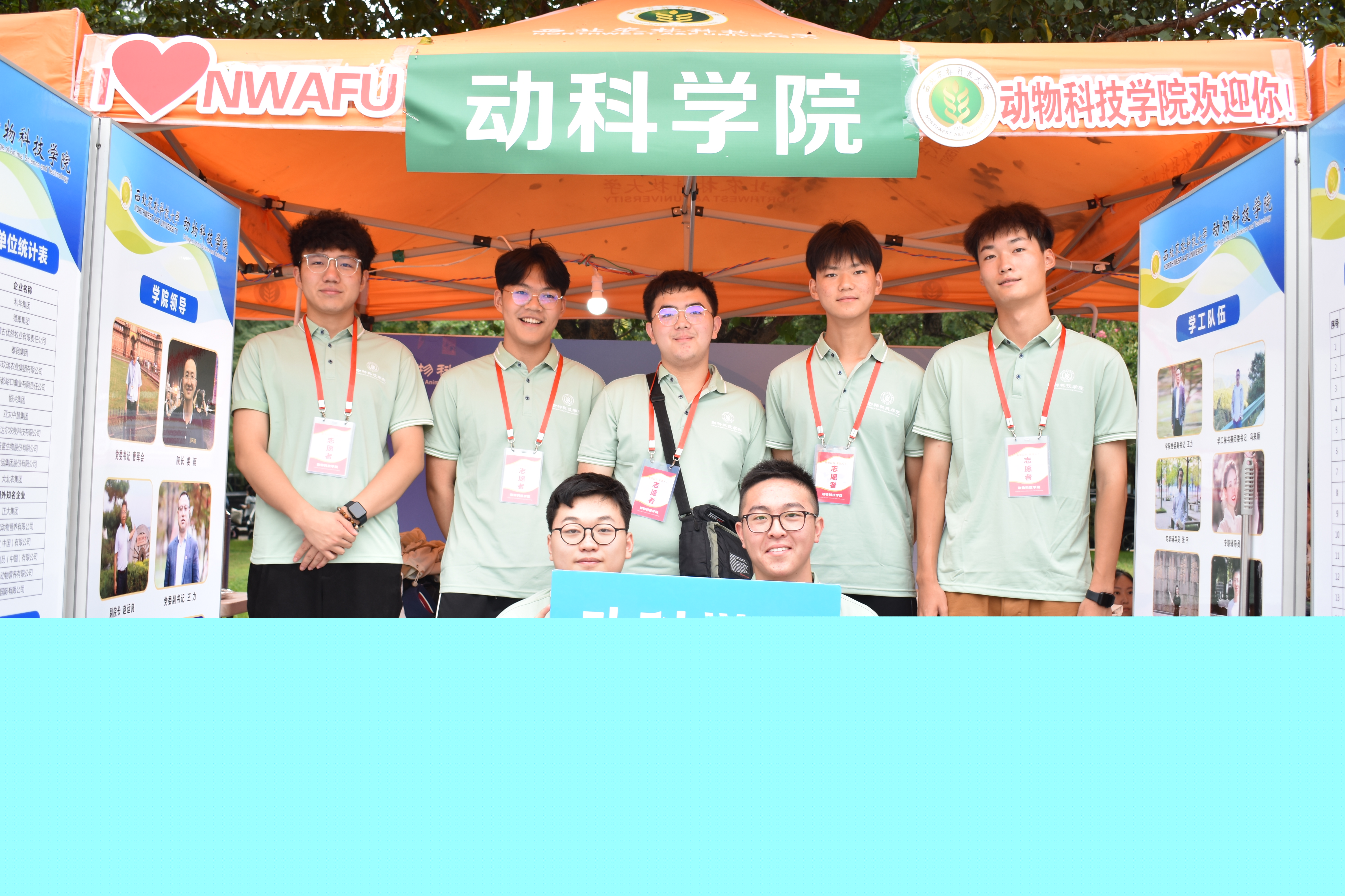 ccc920ce528a4d09887b8855d5941146.jpg
