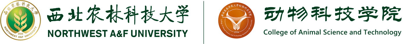 av在线
